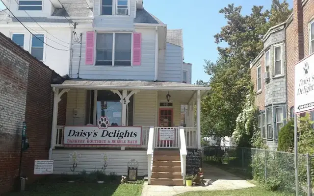 Daisy's Delights in Norwood, PA