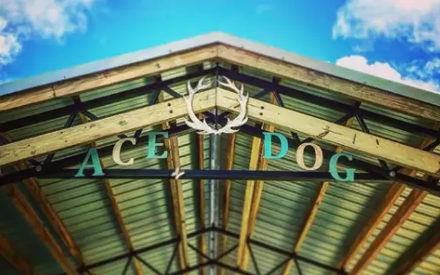 The Ace Dog Trainer in Palm City, FL