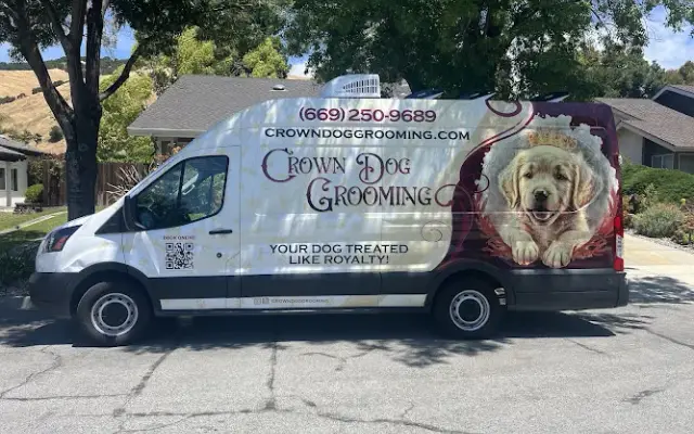 Crown Dog Grooming in San Jose, CA