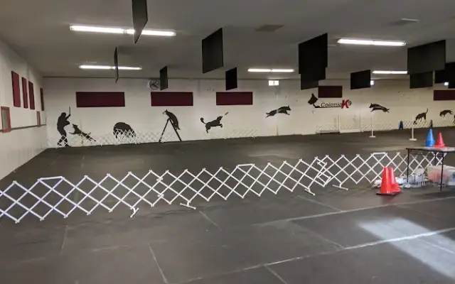 Colonial K-9 in Stafford, VA