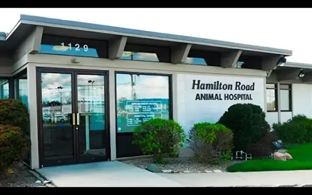 Hamilton Road Animal Hospital in Columbus, OH