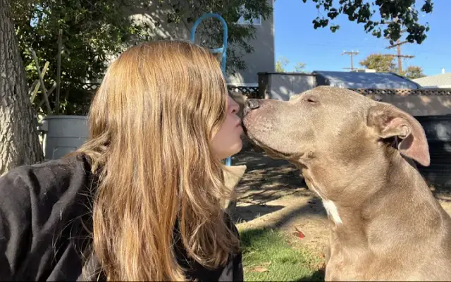 Carissa's Dog Walking and Pet Care in Agoura Hills, CA