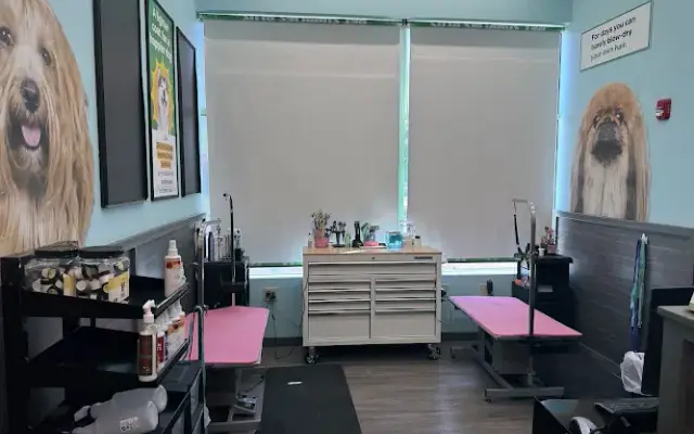 Pet Supplies Plus Newark Grooming in Newark, OH
