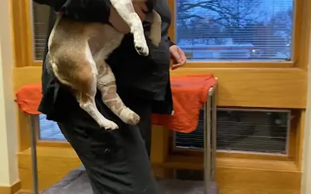 Indian Hills Animal Clinic in Wichita, KS