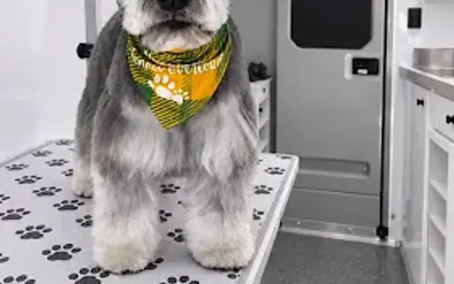 Bony Pet Grooming in San Mateo, CA