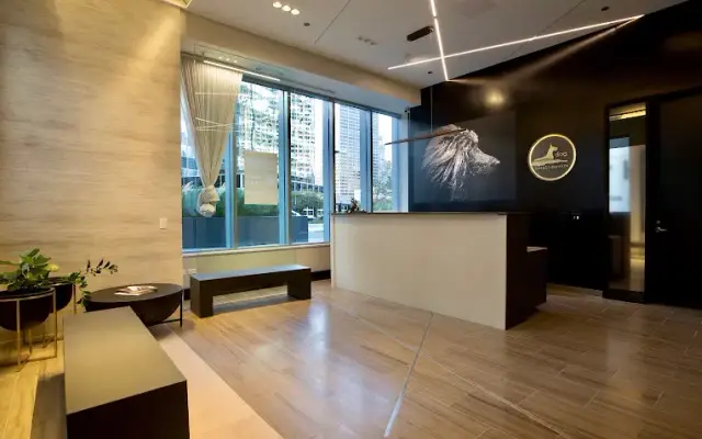 Dog Hotel | Daycare in Chicago, IL