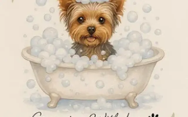 Furever Enza Dog Grooming in Webster, NY