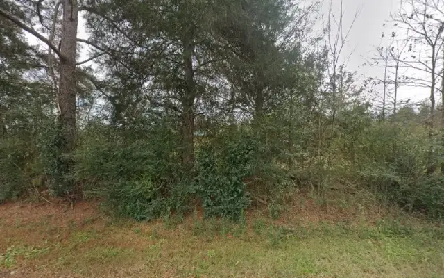 Grooming by Angie in Crystal Springs, MS