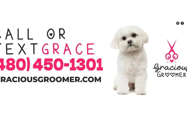 Gracious Groomer in Wittmann, AZ