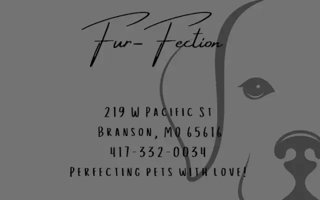 Fur Fection Grooming in Branson, MO