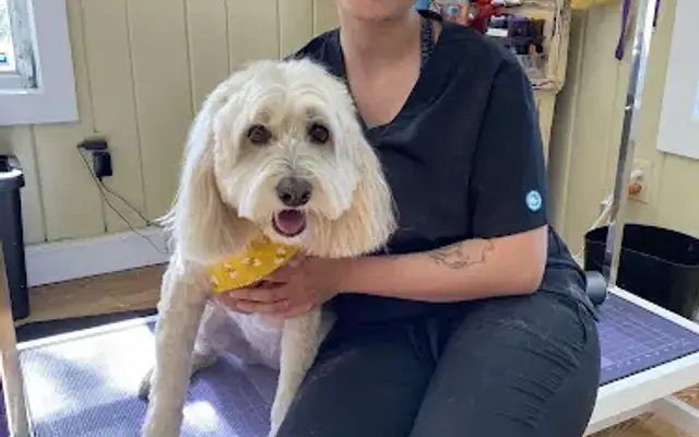 Doggo Den LLC in Sarasota, FL