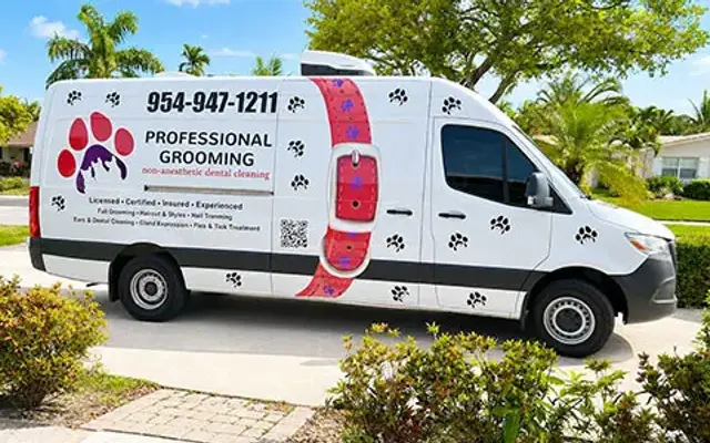 Professional Pet Dog Grooming - Mobile in Davie, FL