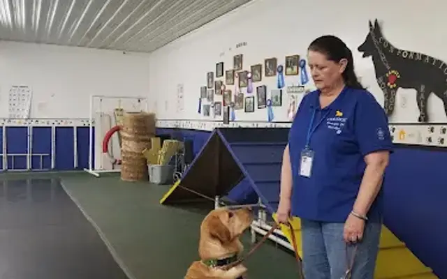 Great Lakes K-9 Inc in Port Huron, MI