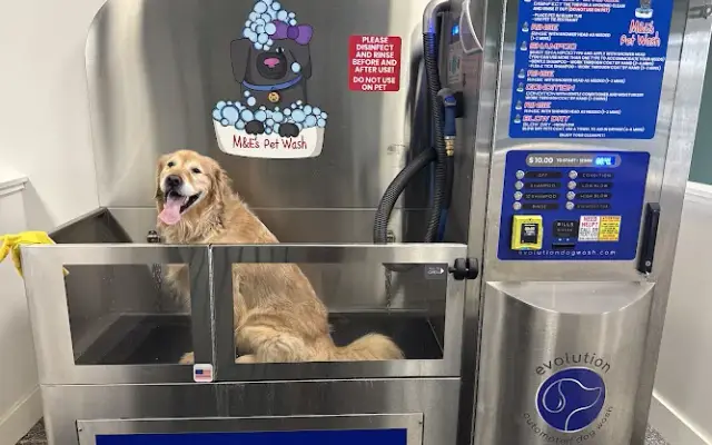 M&E’s Pet Wash in St Johns, MI