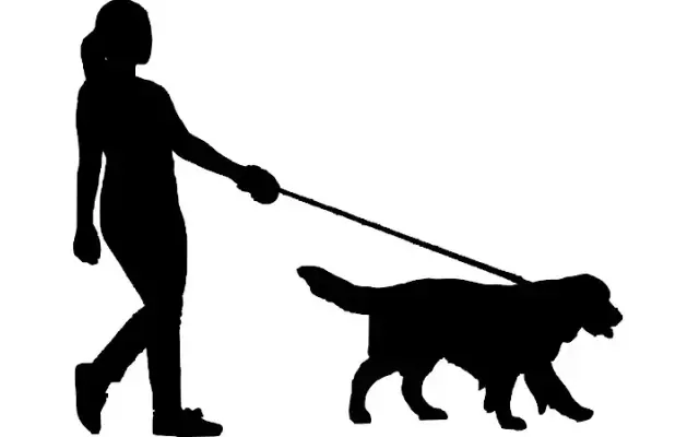 Tina's House Call Dog Grooming in Bunnell, FL