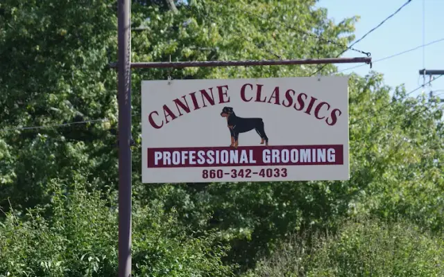 Canine Classics in Portland, CT