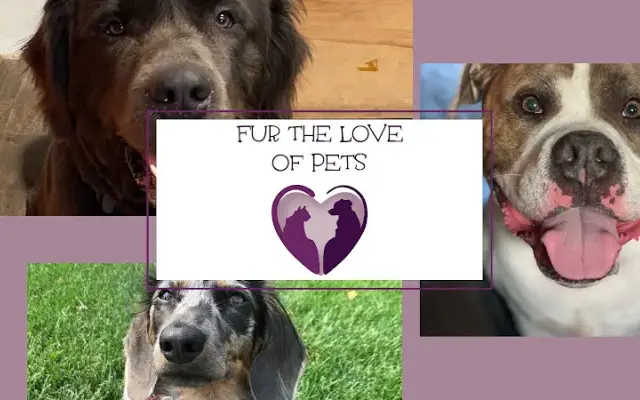 Fur The Love Of Pets in New Richmond, WI