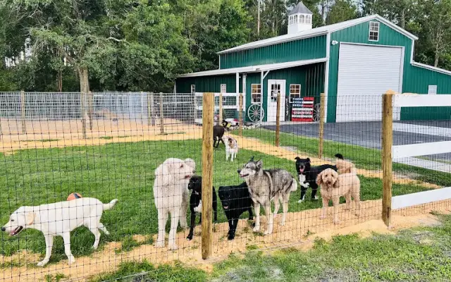 Southern Grooming and Boarding, LLC in Dade City, FL