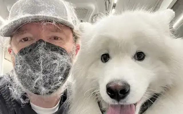 Petopia Grooming in Pleasanton, CA