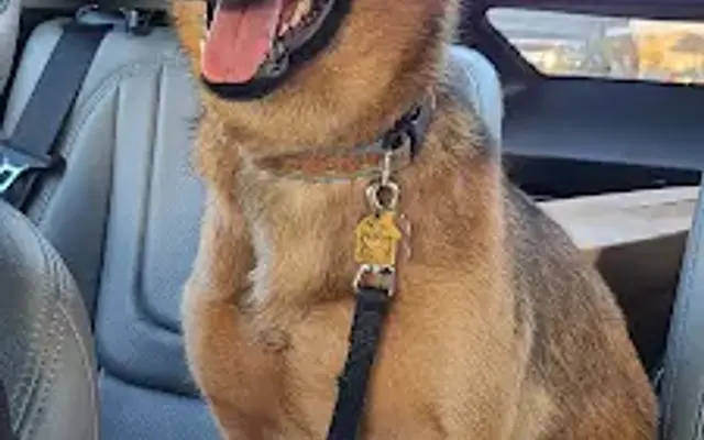 PetSmart Grooming in Alhambra, CA