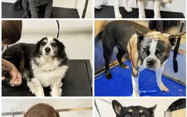 Mobile Ruff Spa in Richland, WA