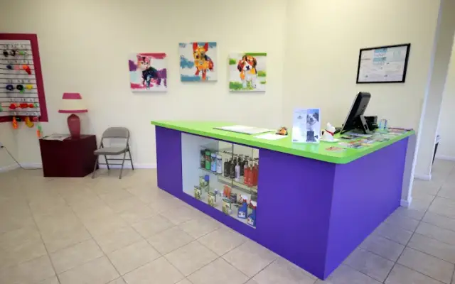 Palace Pet Grooming and Boutique in Miami, FL