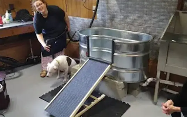 Lancaster Quality Grooming in Smithfield, NC