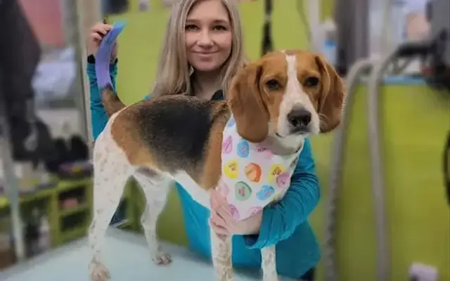 Bubbles And Bows Dog Grooming in Sunbury, OH