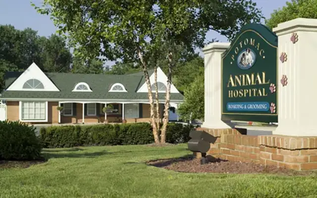 Potomac Animal Hospital in Potomac, MD