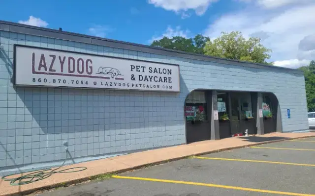 Lazy Dog Pet Salon & Daycare in Vernon, CT