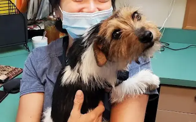 VCA Vets & Pets Animal Hospital in Santa Clara, CA