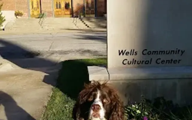 Pawsitive Pets, LLC in Lafayette, IN