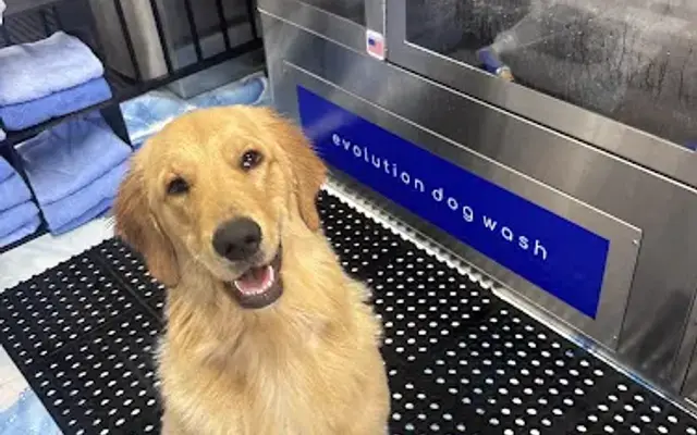 The Dirty Dog Self Serve Dog Wash in Largo, FL