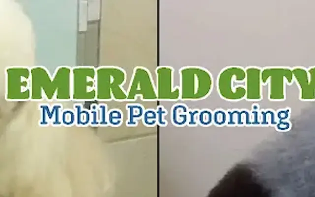 Emerald City Mobile Pet Grooming in Burien, WA