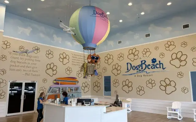 DogBeach Orlando in Casselberry, FL