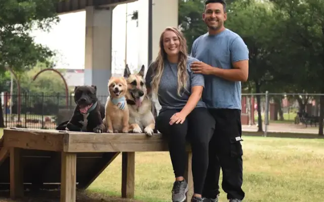 All Pets Sitting in Garland, TX