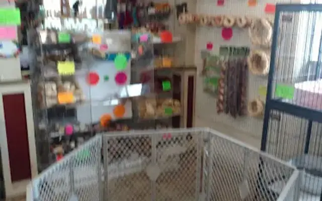 Vinnie's Bow Wow Shoppe in Thomasville, PA