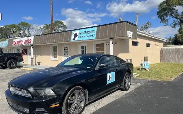 Ace Grooming in Homosassa, FL