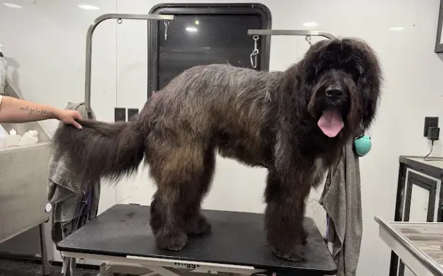 Barks and Bubbles Mobile Dog Grooming in Southside, AL