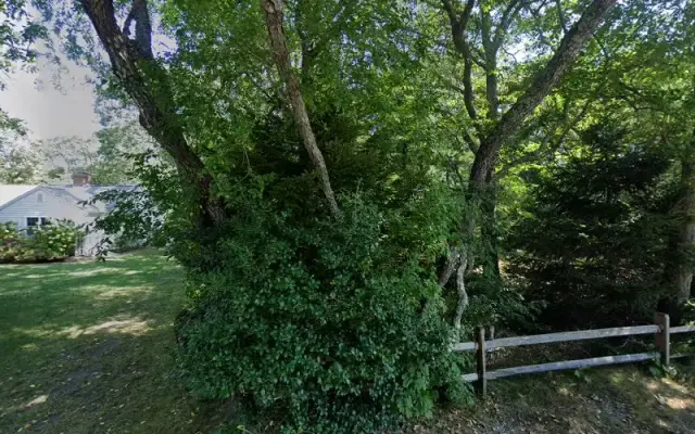 The Pampered Paw in Cotuit, MA