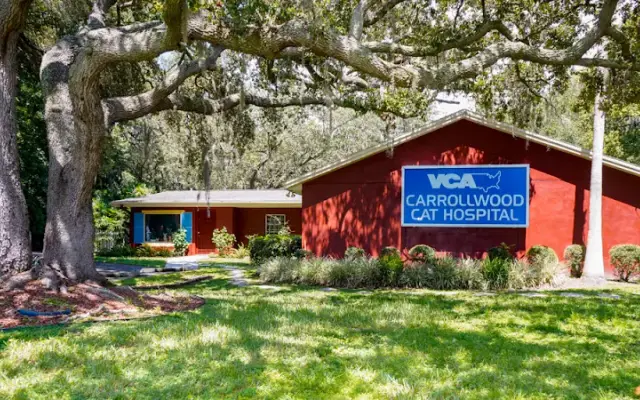 VCA Carrollwood Cat Hospital in Tampa, FL