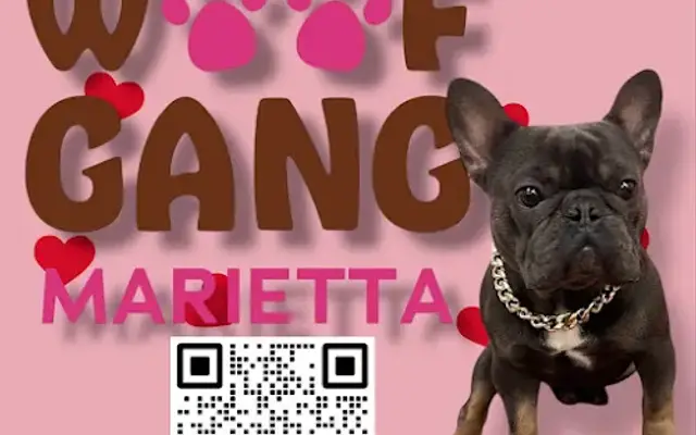 Woof Gang Bakery & Grooming Marietta in Marietta, GA