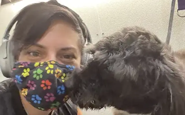 Puppy Dog Tails Mobile Grooming in Port Orange, FL