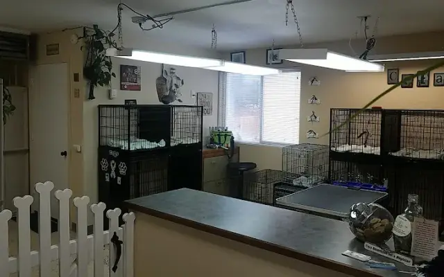 Wagging Tails Grooming in Soldotna, AK