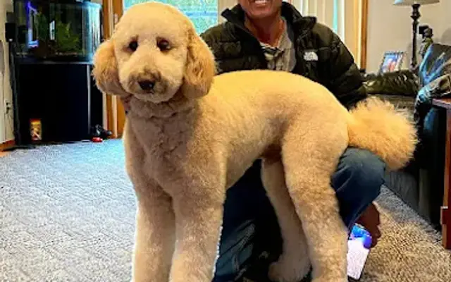Unleashed Pet Boutique & Spa in Port Washington, NY