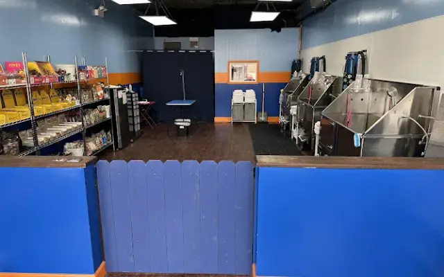All Star Pet Care Grooming & Self Wash in Chicago, IL
