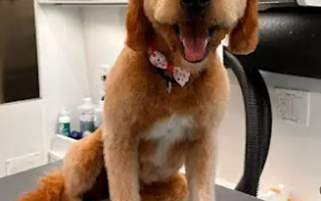Woofie’s® of Cherry Hill in Medford, NJ