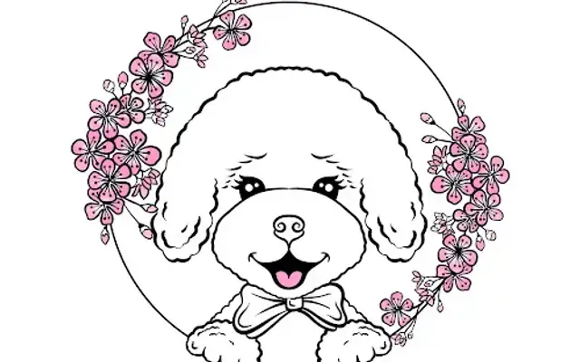 Georgetown Pet Grooming in Washington, DC