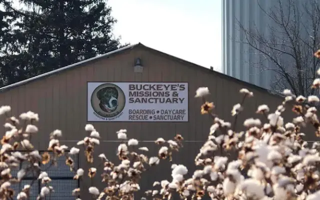 Buckeye's Missions and Sanctuary in Brunswick, OH