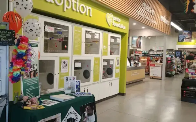 Petco in New Milford, CT